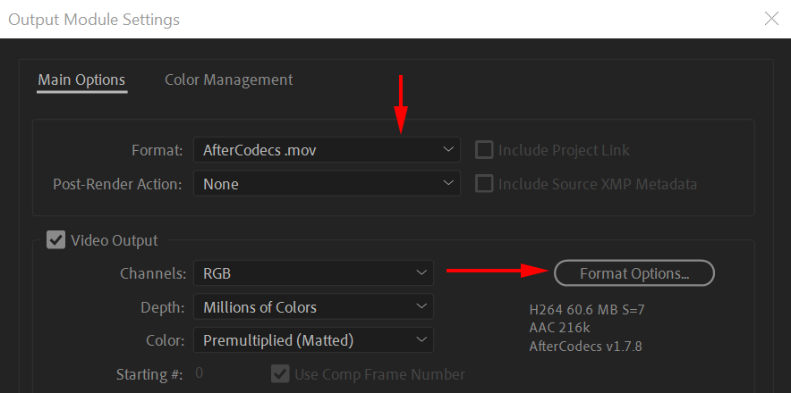 AE_Output_module_settings