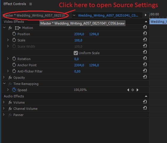 BRAW Studio SourceSettings Settings WhereToFind