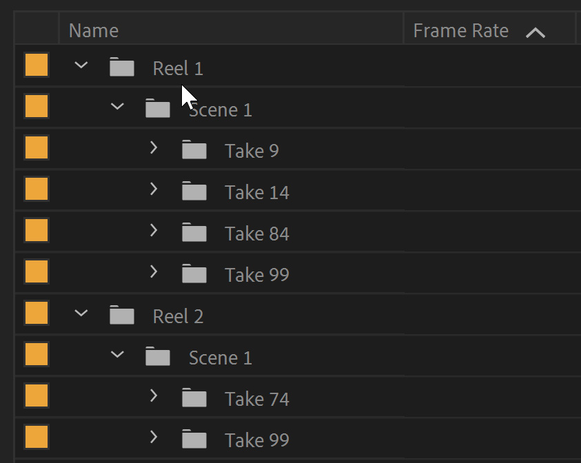 Autokroma BRAW Studio Metadata Organizer Premiere Pro Example Bins