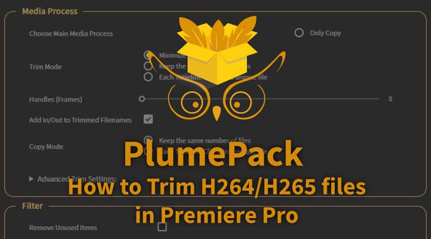 How to Lossless trim your AVC / H264 and HEVC / H265 files in Premiere Pro
